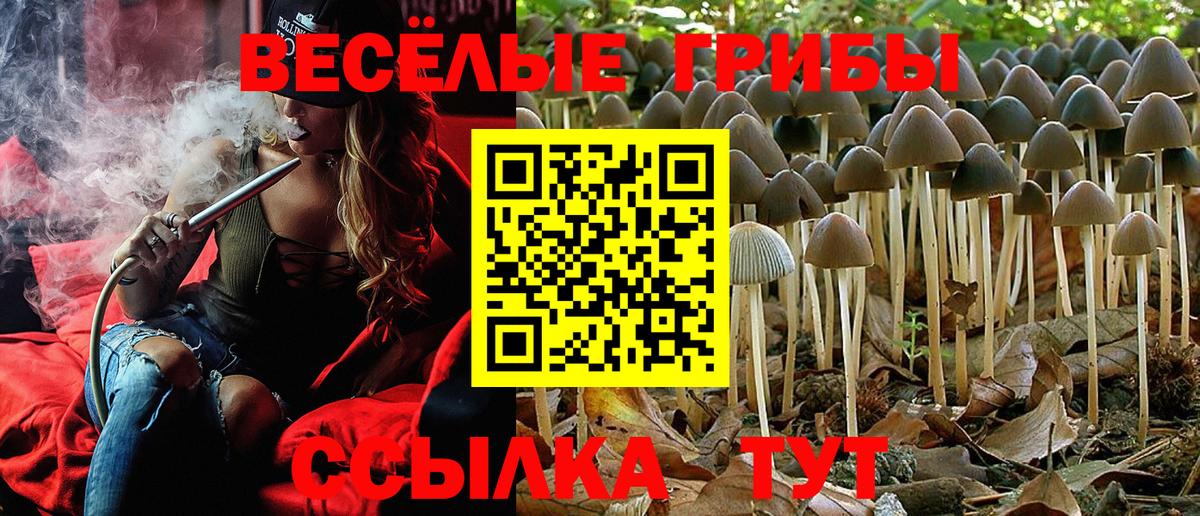 Северск  Псилоцибиновые грибы мухоморы  Вход с VPN 