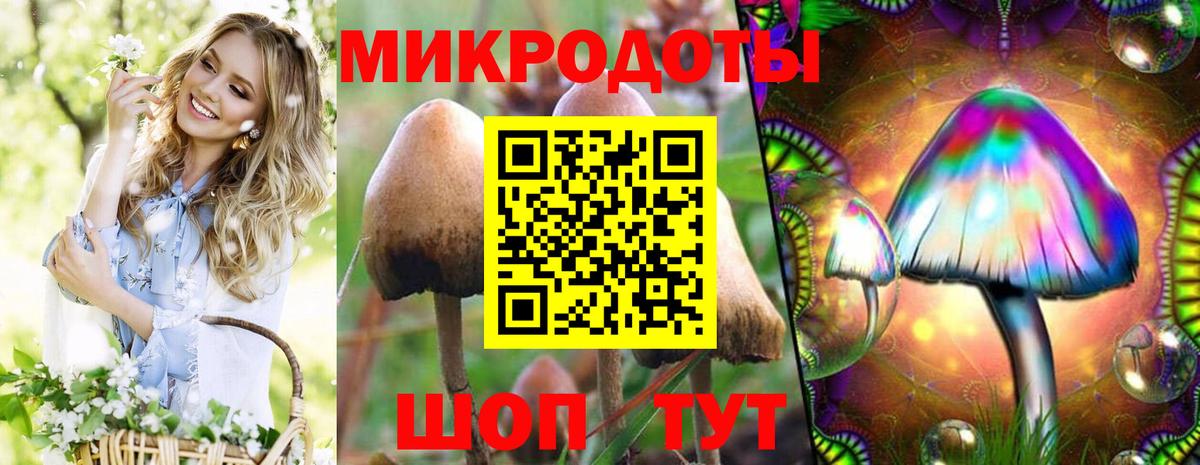 Галлюциногенные грибы ЛСД Северск