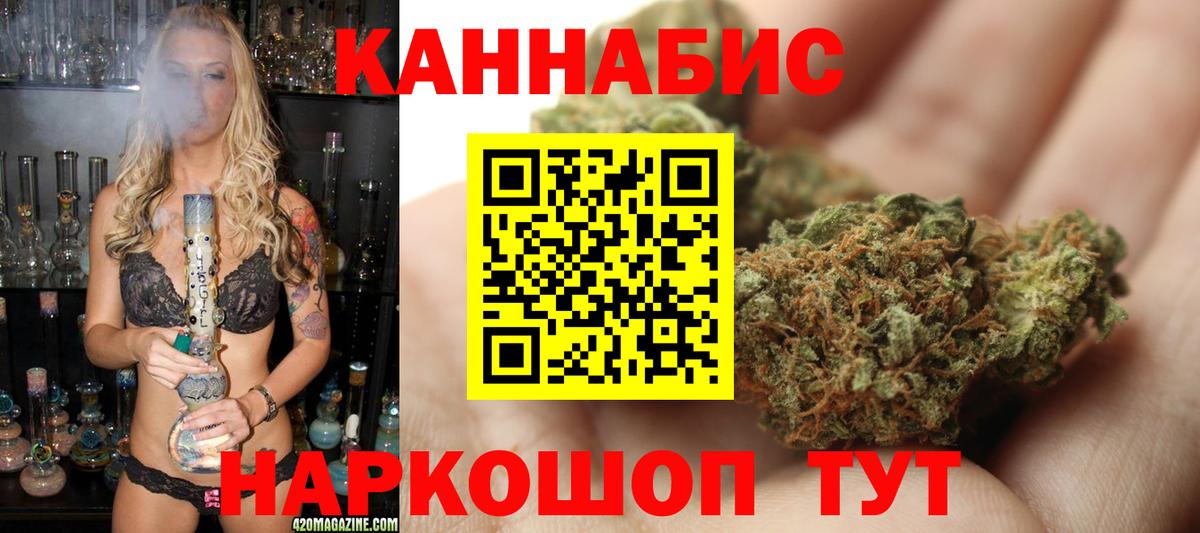 Конопля план Северск